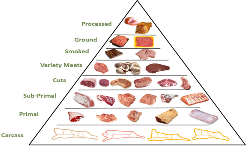 1973 URMIS Product Pyramid