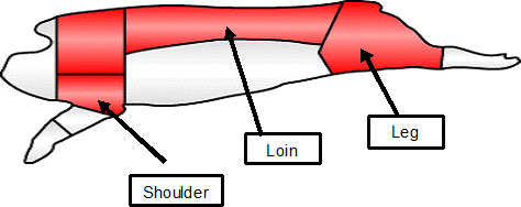 Carcass Cut Locations