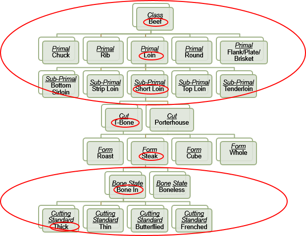 Characteristics Example